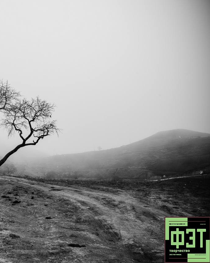 Альбом 05.04.26 в рамках проекта для фотографов ФЭТ