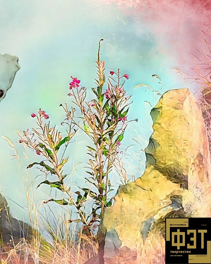 Выбор зрителей 14.12.25