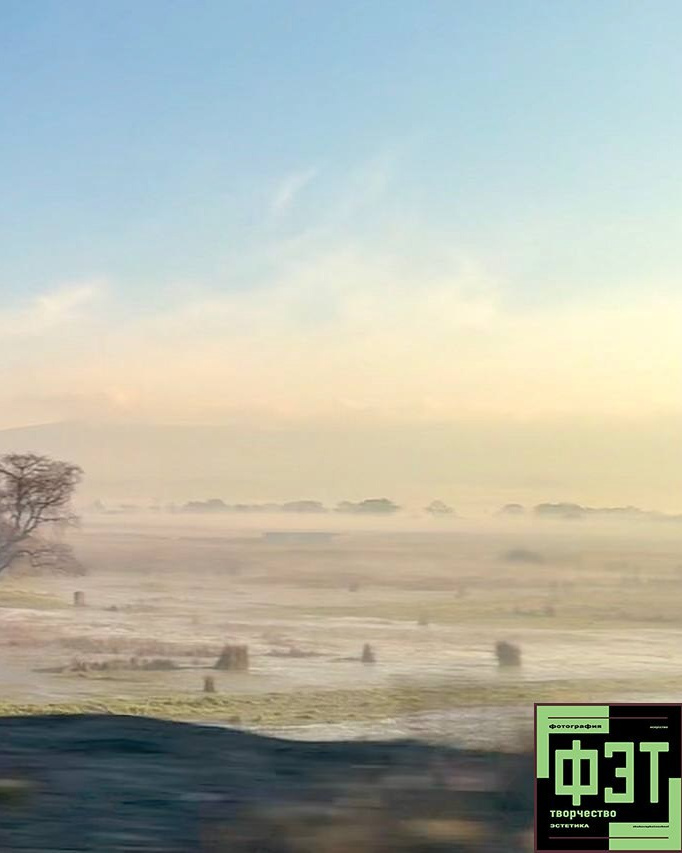 Альбом 08.02.26 в рамках ФЭТ