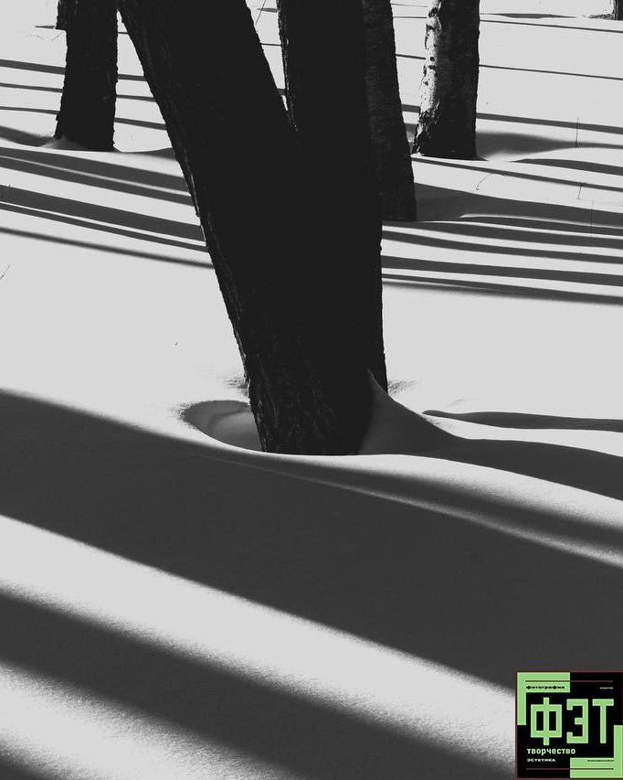 Наталья Переверзева