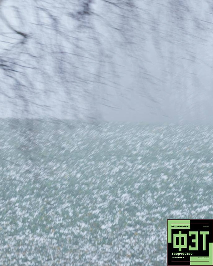 Альбом от 30.11.25 в рамках фотоконкурса ФЭТ: Фотография Эстетика Творчество