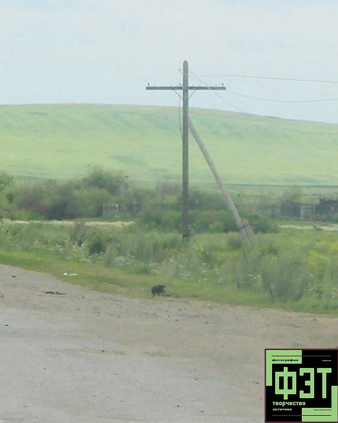 Альбом 19.04.26 в рамках проекта ФЭТ