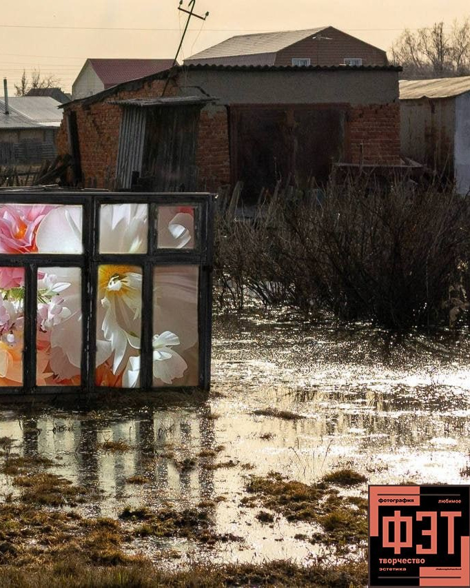 Альбом 08.03.26 в рамках ФЭТ