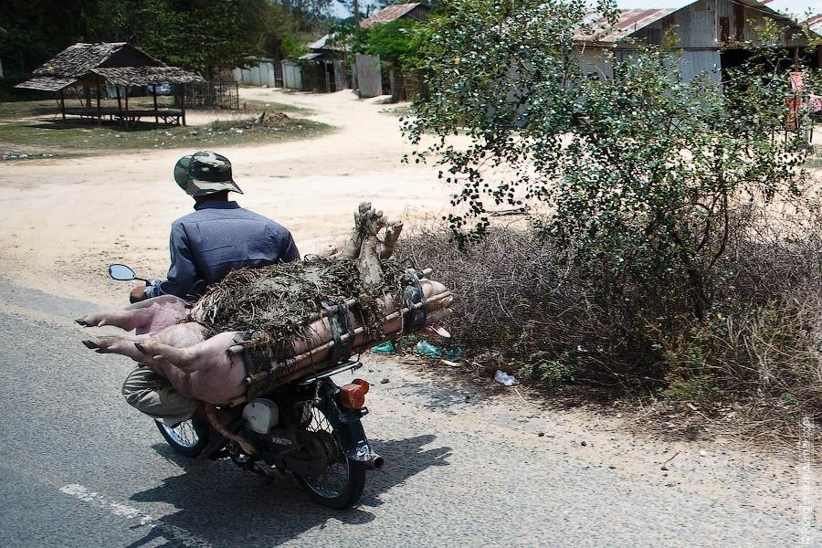 Камбоджа. Фотограф Иван Губанов