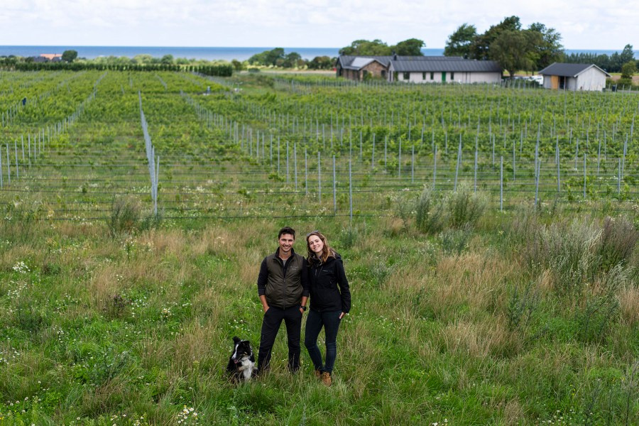 Sweden-wine. Pavel Golovkin