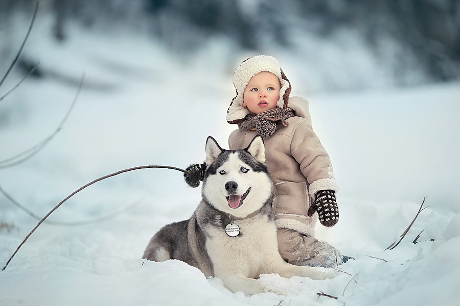 Фототур Зимний забавы в Угличе. Tatyana Nadezhdina Family photographer