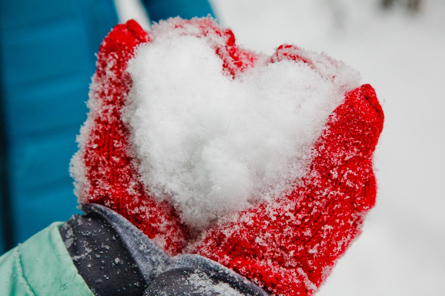 осенняя фотосессия в лесу