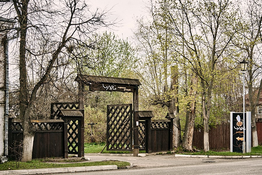 Объектив как кисть художника. НЕЙРО-АРТы Воеводова