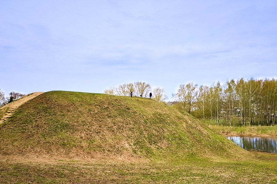 Объектив как кисть художника. НЕЙРО-АРТы Воеводова