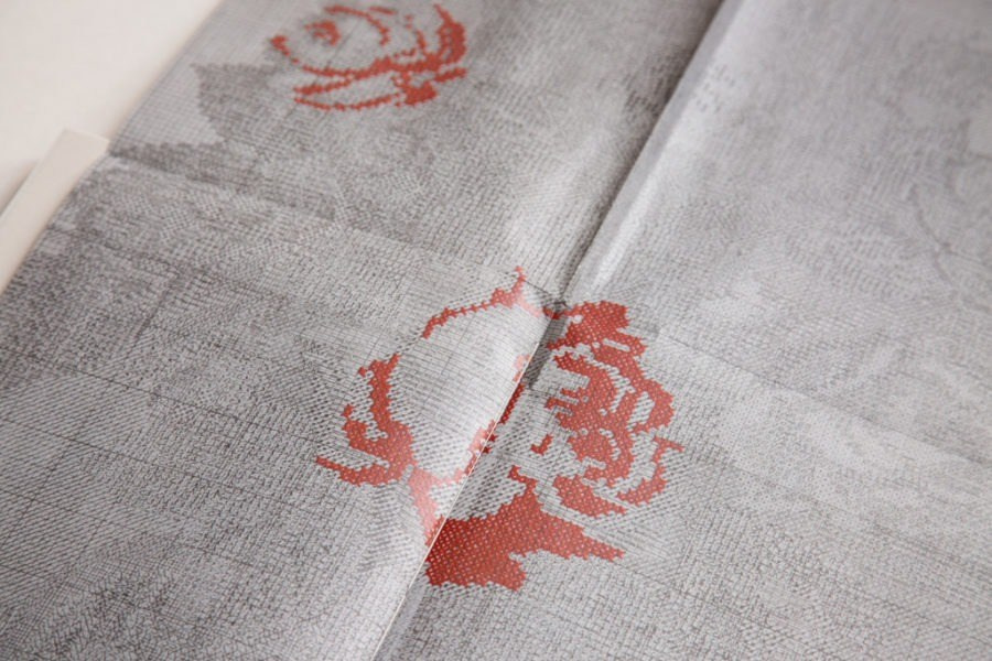 ОБЗОР АКТУАЛЬНЫХ ФОТОКНИГ: Улица Rue Désiré Chevalier. Самоорганизация Низина