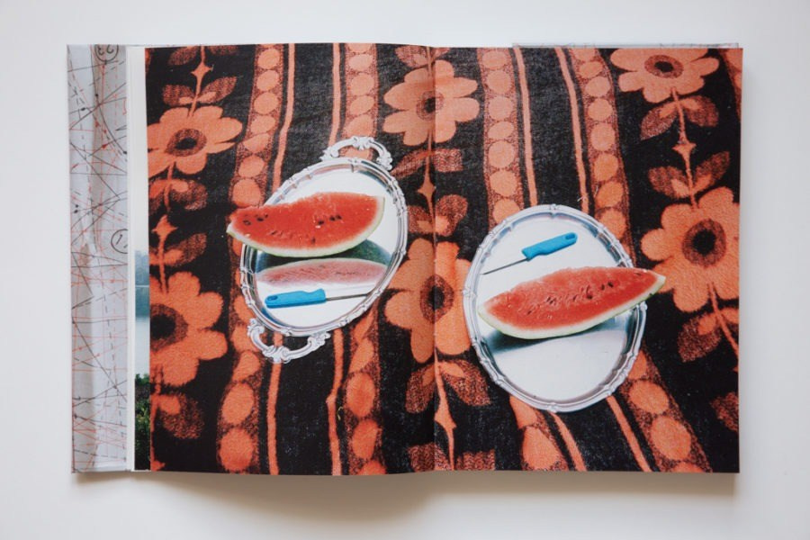 ОБЗОР АКТУАЛЬНЫХ ФОТОКНИГ: Улица Rue Désiré Chevalier. Самоорганизация Низина