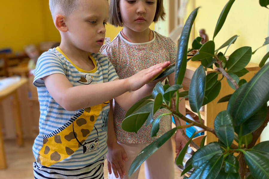 Детский сад. МОНТЕССОРИ-САД «ДЕТСТВО»