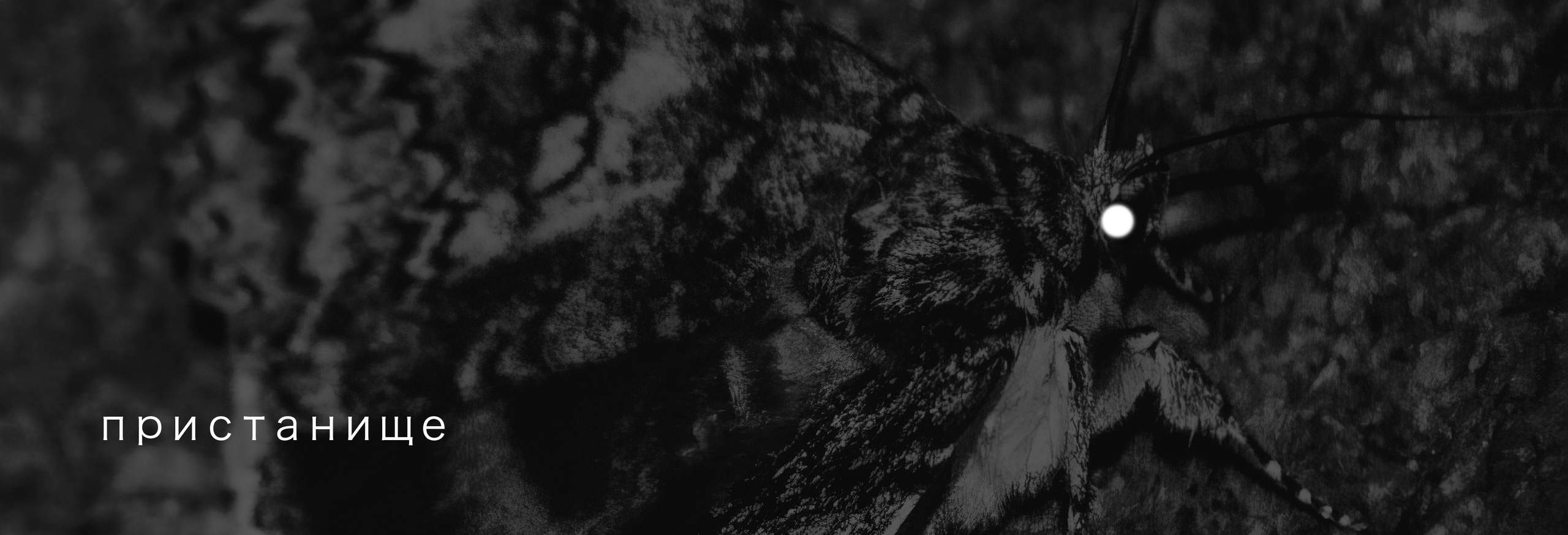 Магазин. Элина Гусарова