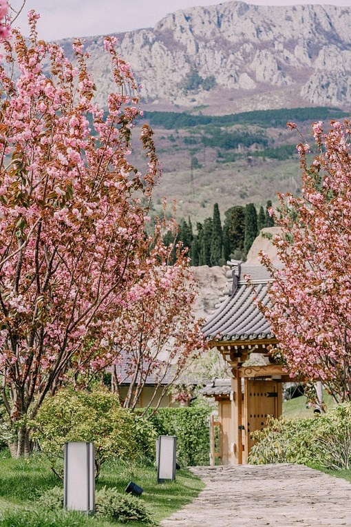 Локации для фотосессий в Крыму. Фотограф, фотосессии «Всё включено» в Москве и Московской области