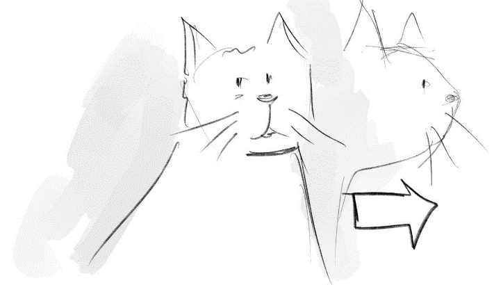 RED SOLUTION. Фото и видеосъёмка клипов и контента для компаний и личных брендов