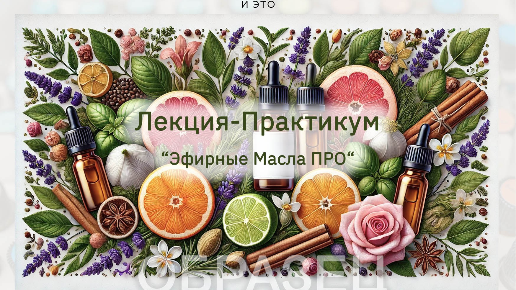 Подарочные сертификаты. Ароматестирование по методу Аромакод и Нейростатус в Санкт-Петербурге