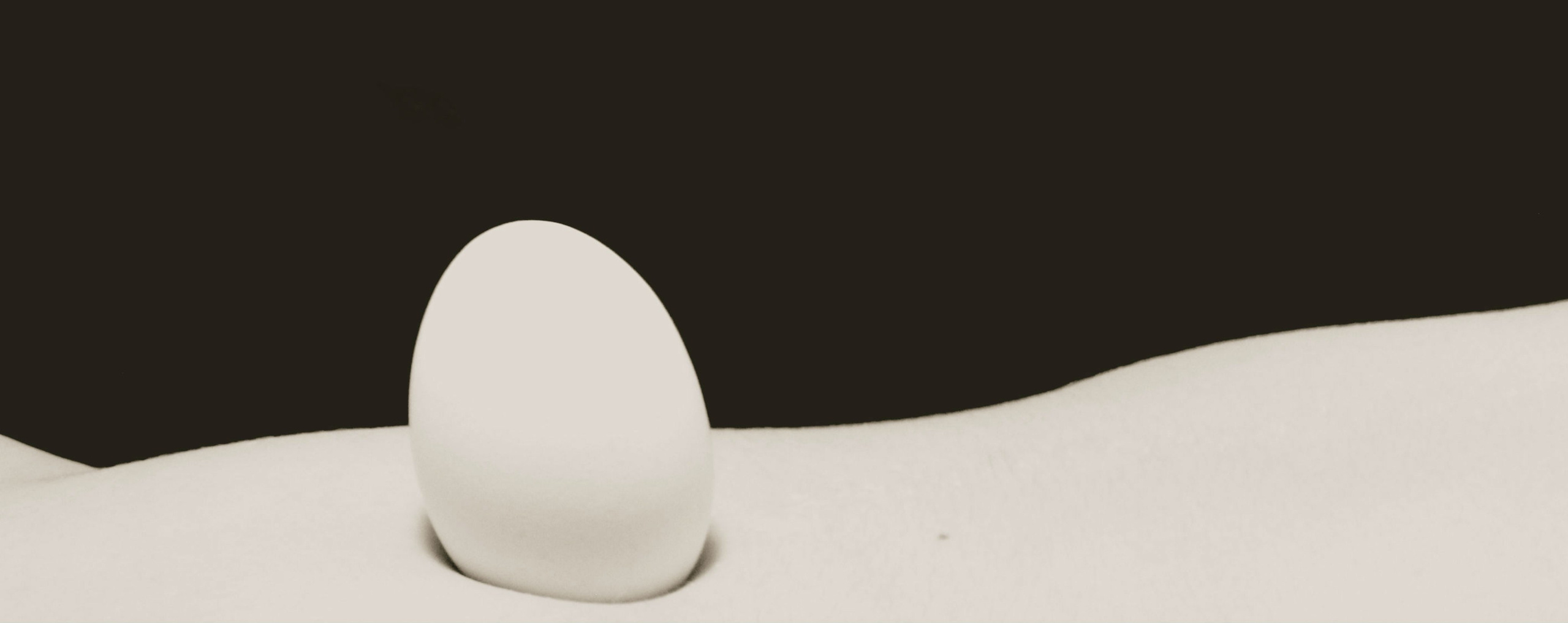 Гросман Дарья. ARTEXPOPHOTO