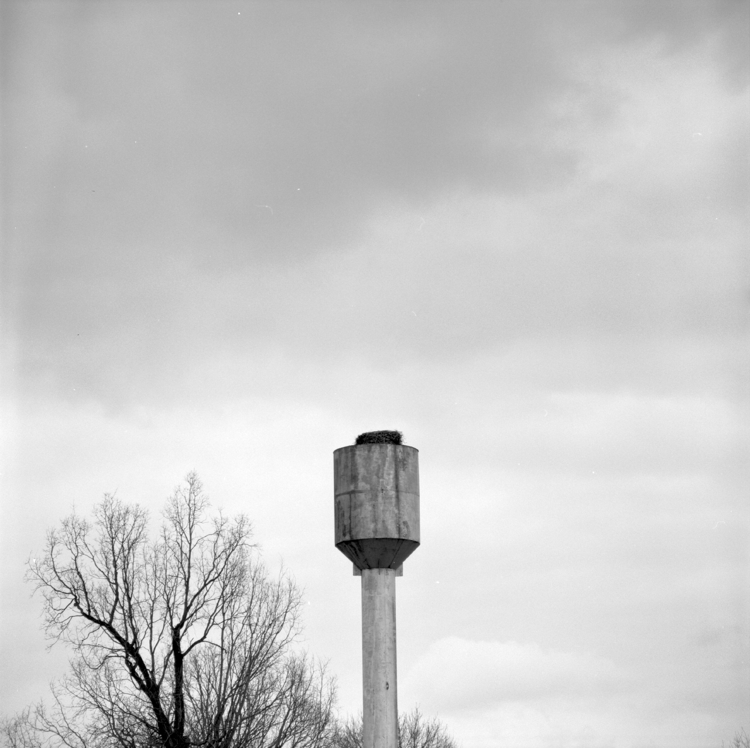 фотография автор Юлия Горбунова, проект День без числа