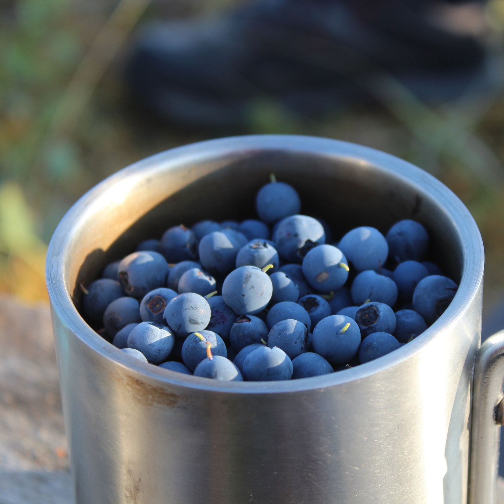 Портфолио|работы с партнерами. Хорошая экспедиция