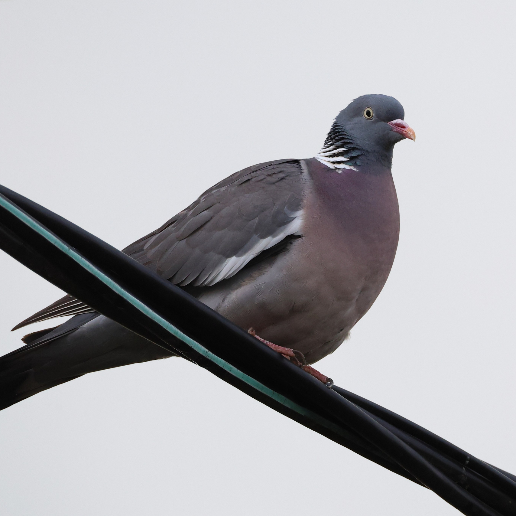 Большой уикенд. Суббота