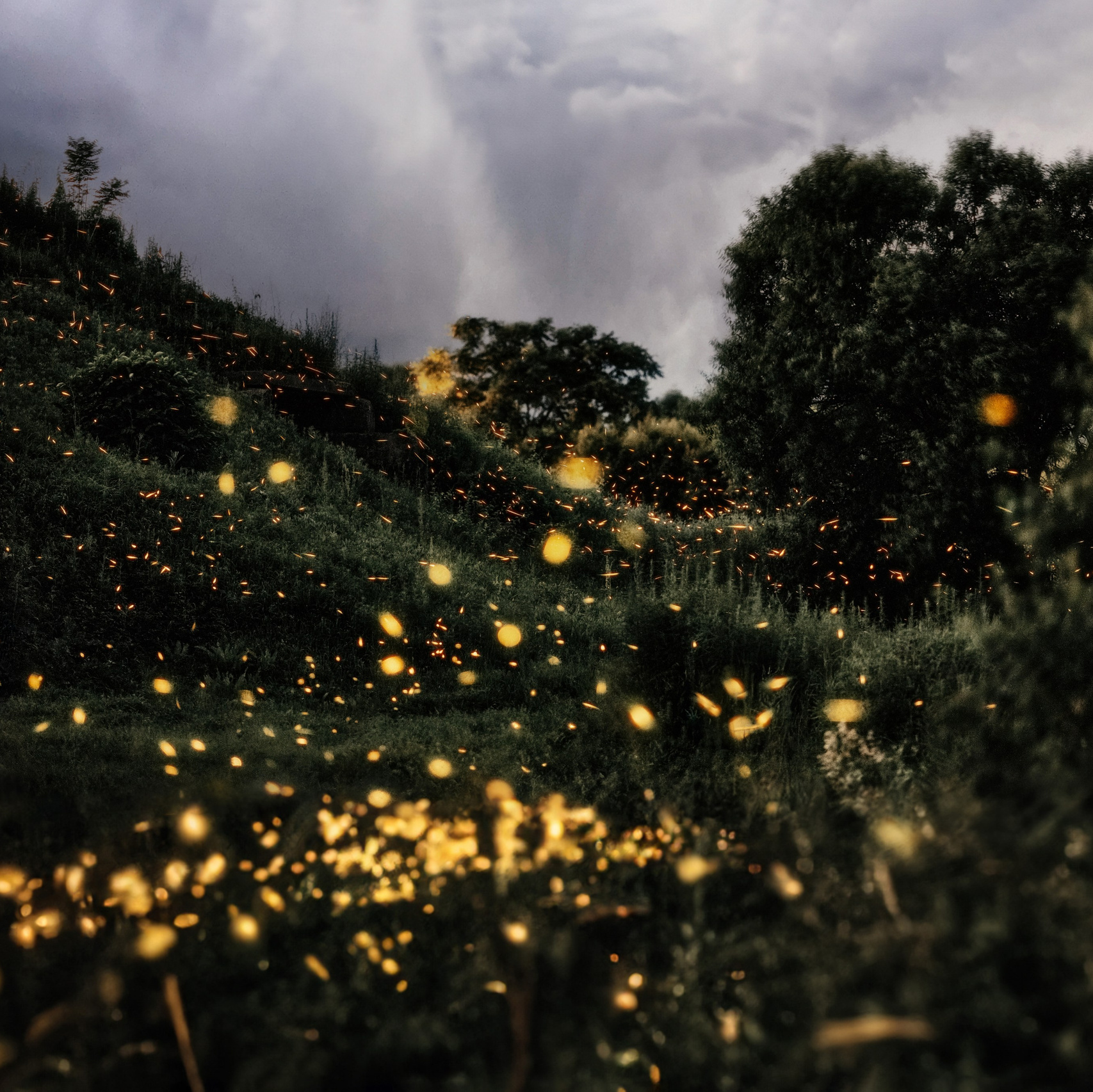 Магазин фото, пресетов и электронных товаров