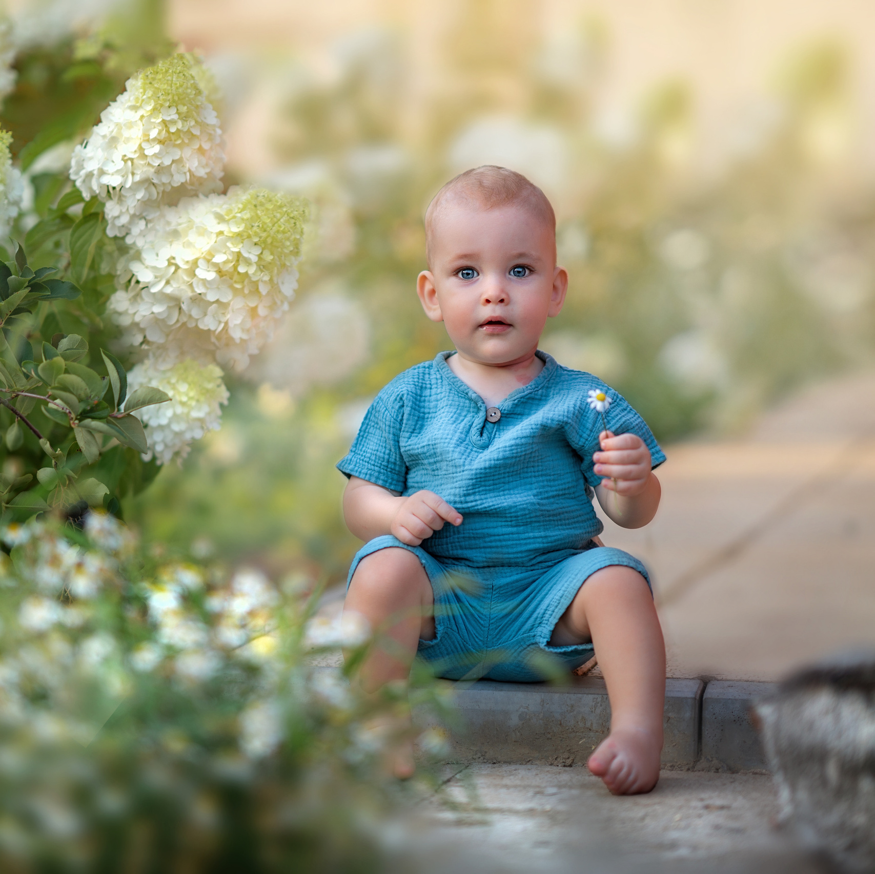 подарочный сертификат, подарок близкому, дети, малыши, детская фотография, семейная съёмка, семья, фотосессия