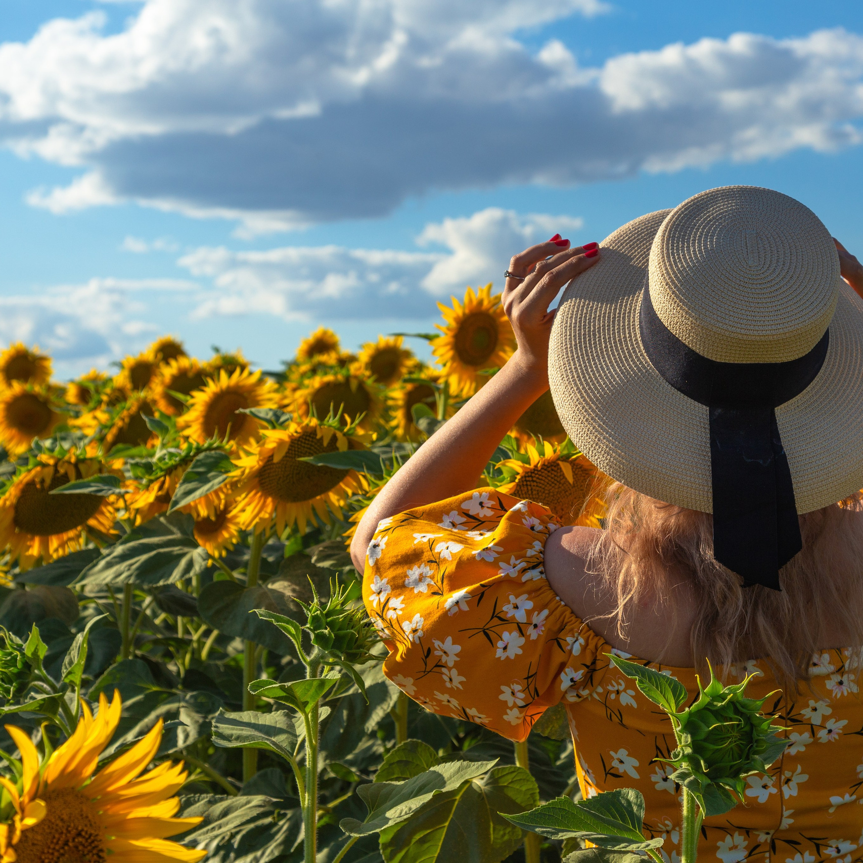 Прайс. Свадебный фотограф в Липецке, фотограф на свадьбу Липецк