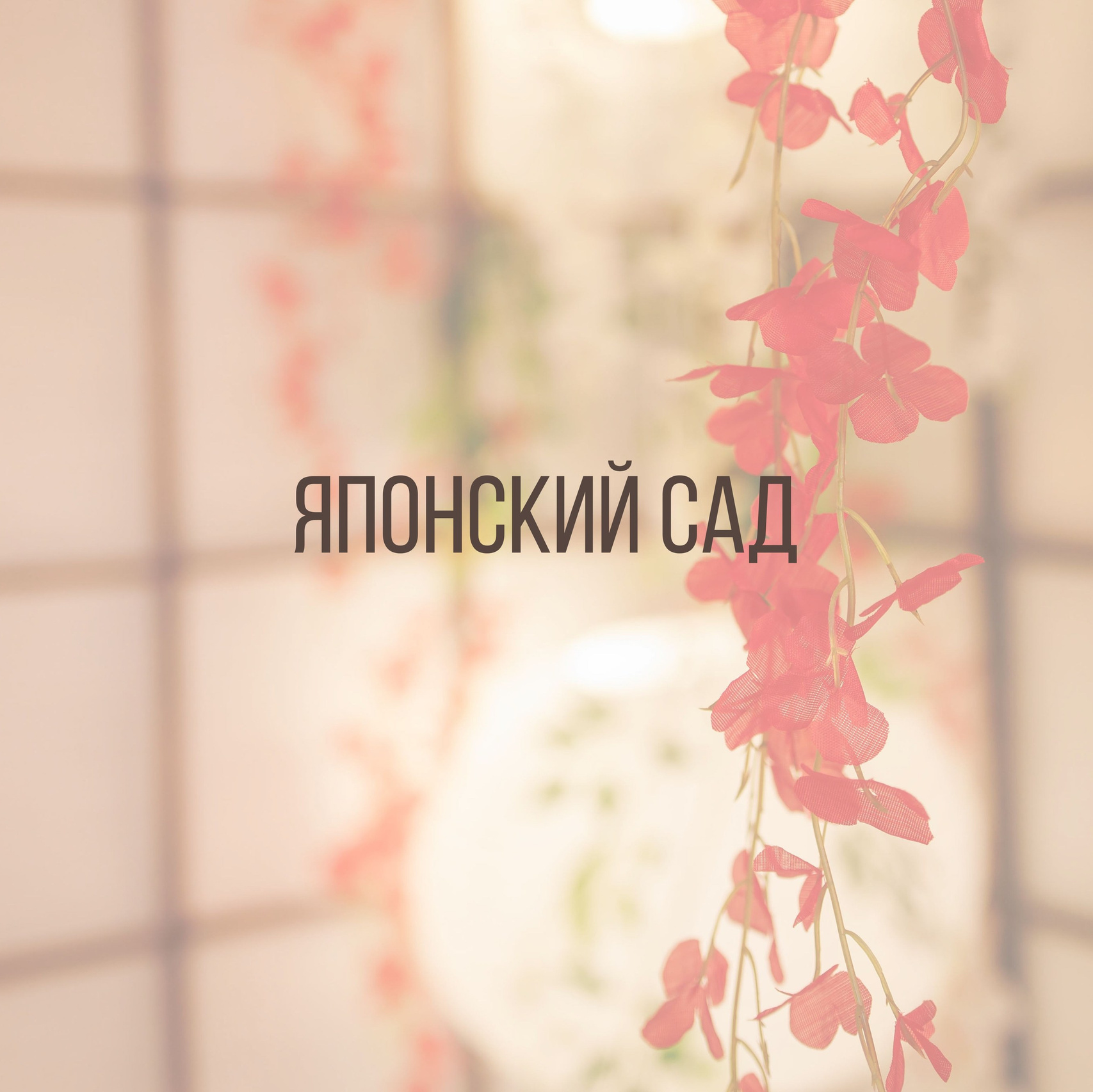 Услуги. Интерьерная фотостудия Background в Омске