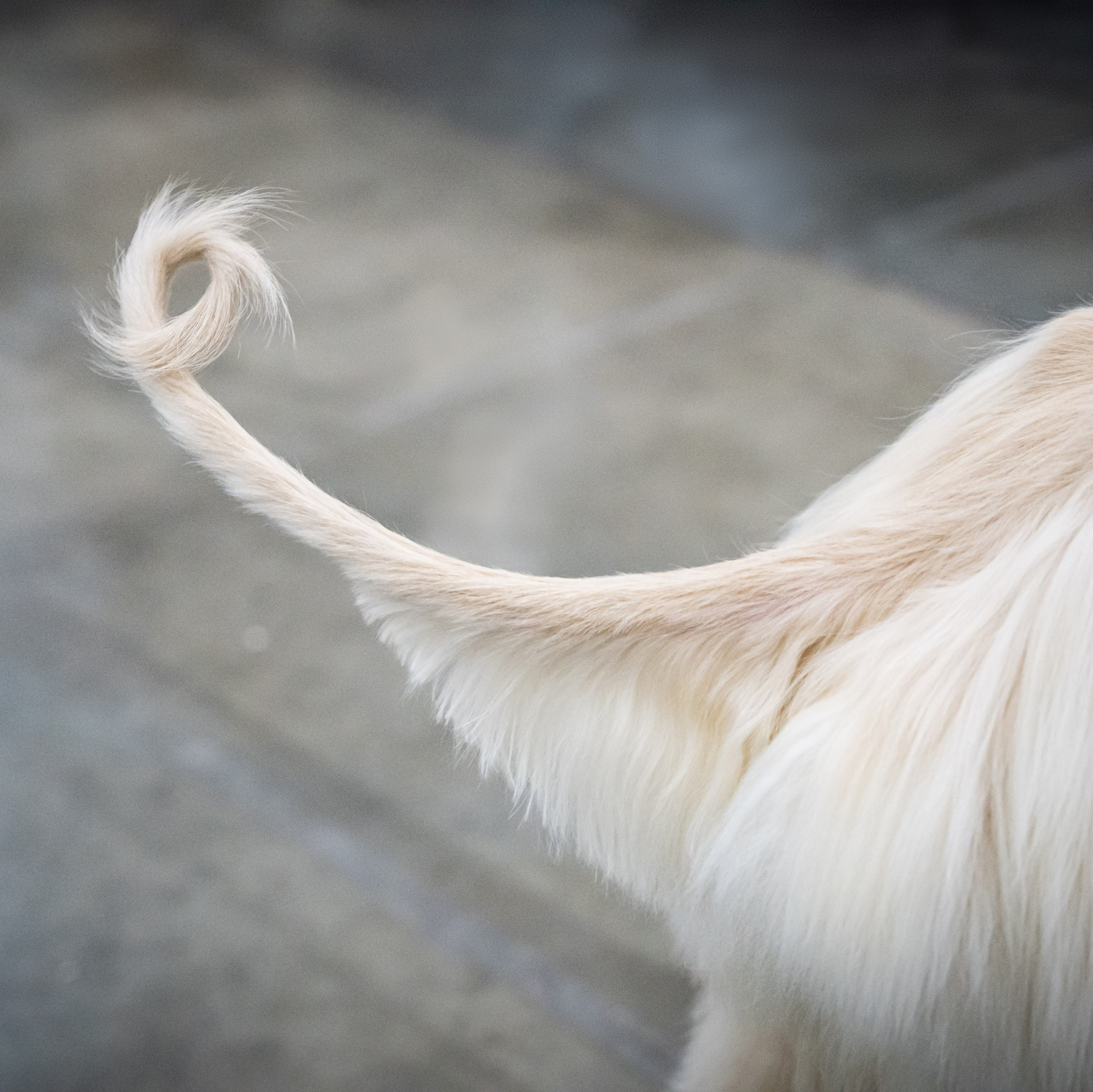 Контакты. Фото, видео, монтаж