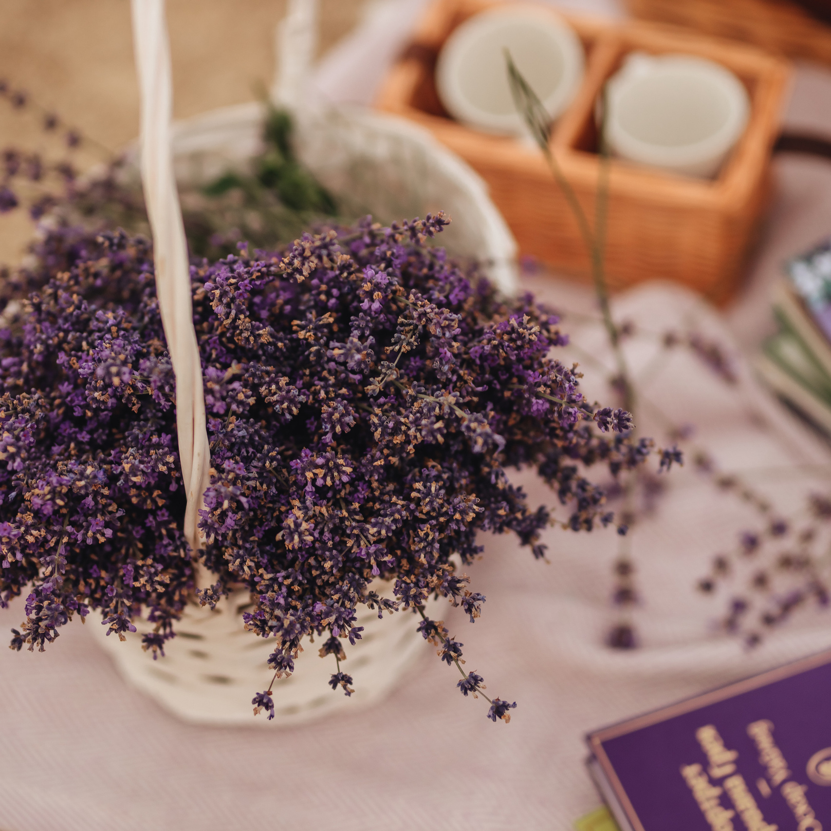 Лавандовые фотосесии. Свадебный и портретный фотограф — Мария Костина