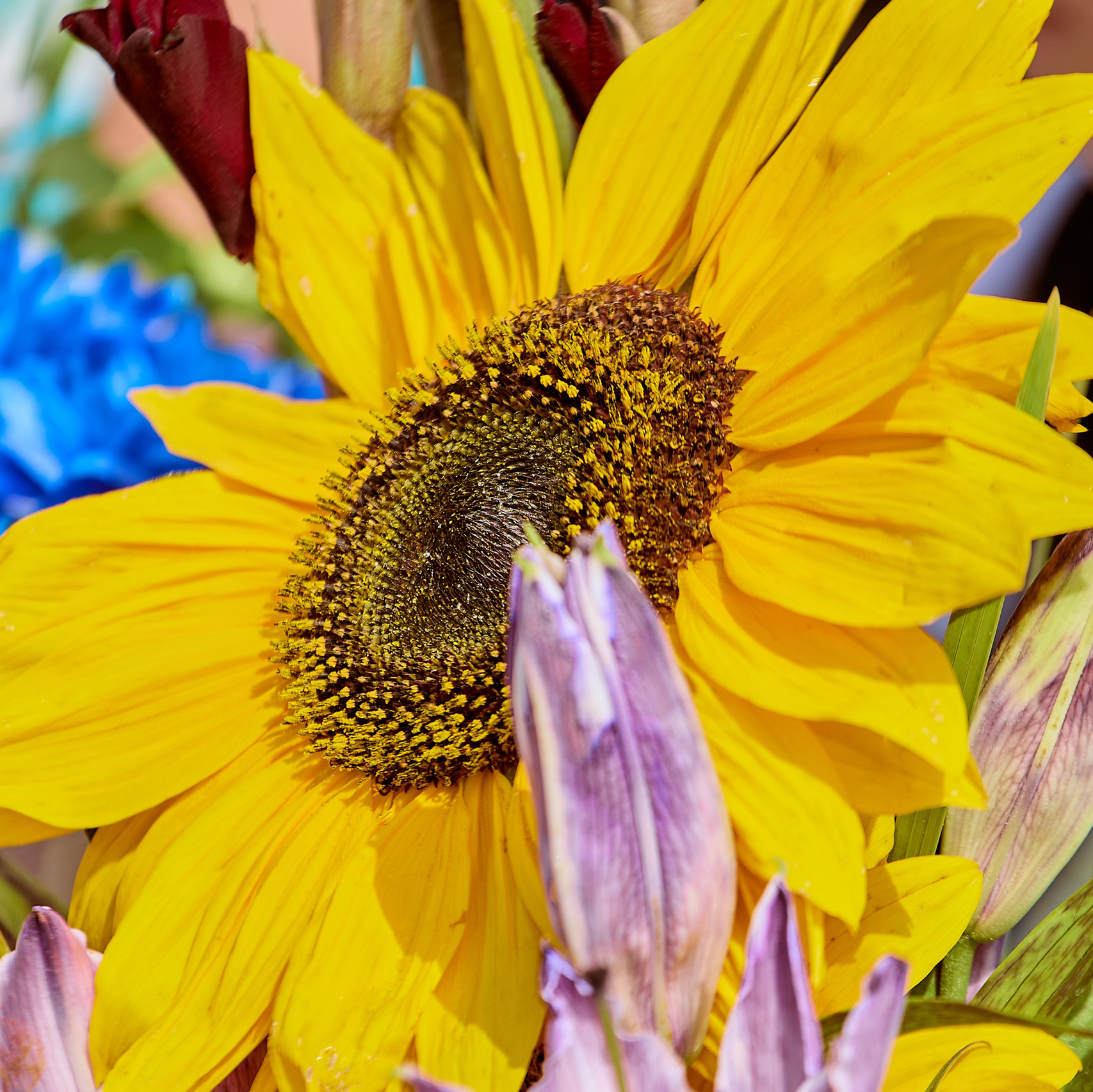 Творческие проекты и фотосессии в Дзержинске