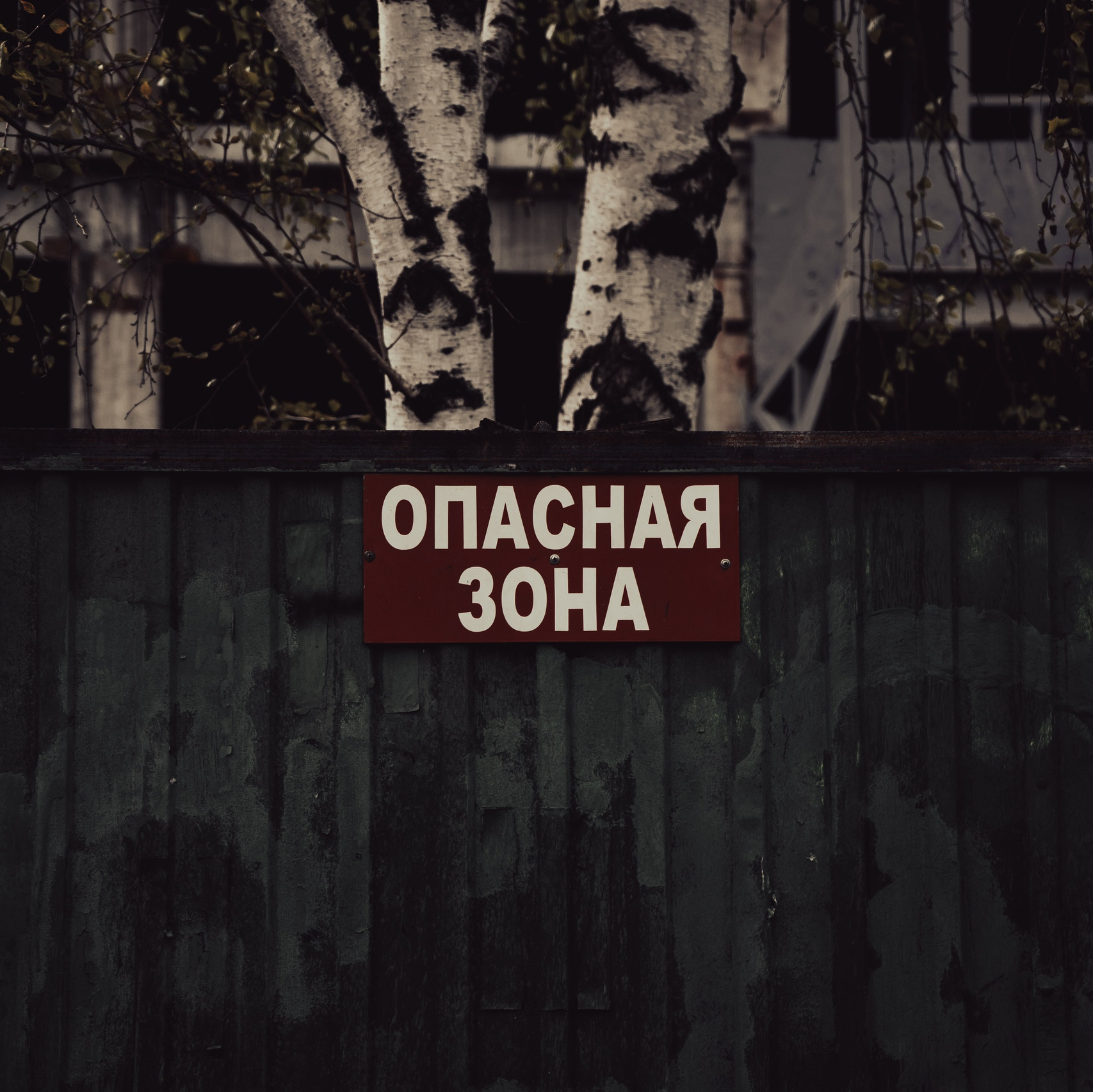 Портретный фотограф в Санкт-Петербурге Дори Милиева