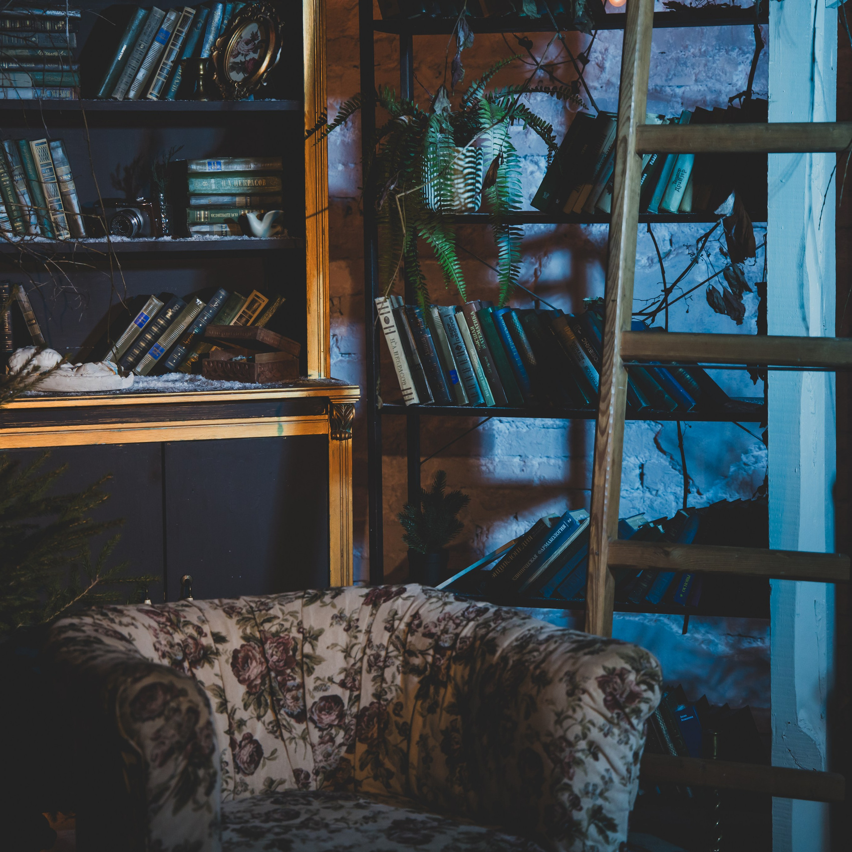 Семейная новогодняя фотосессия