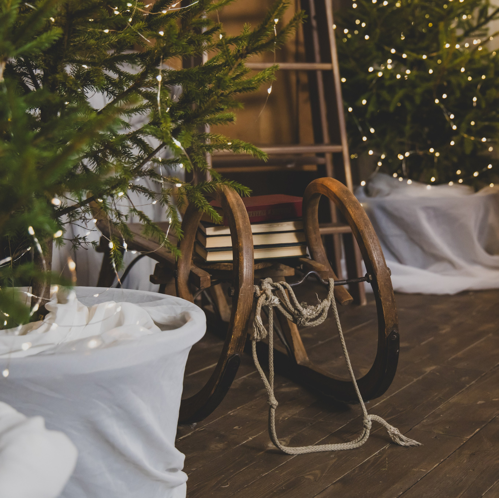 Семейная новогодняя фотосессия