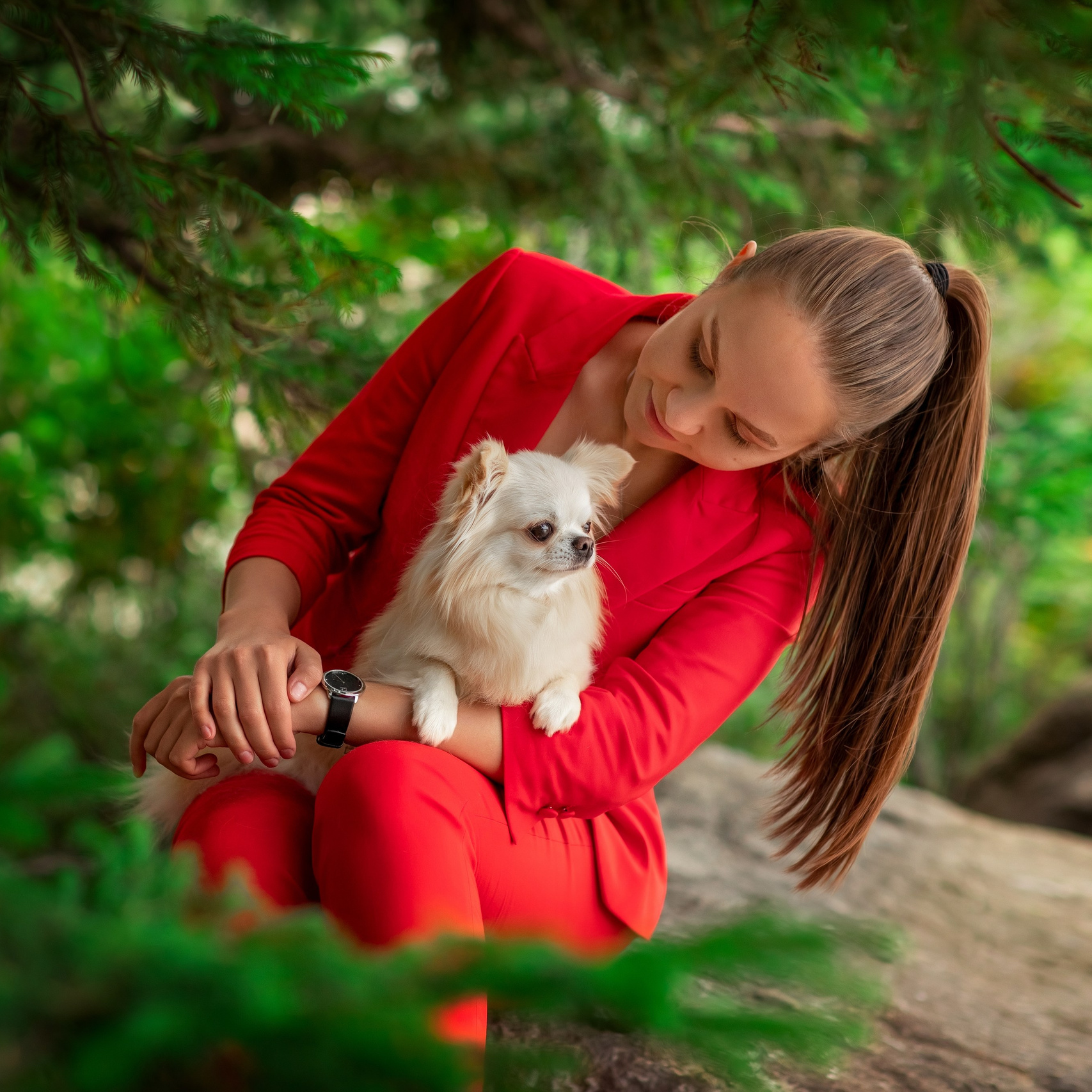 Пакеты услуг и цены. Фотограф для Вашей собаки