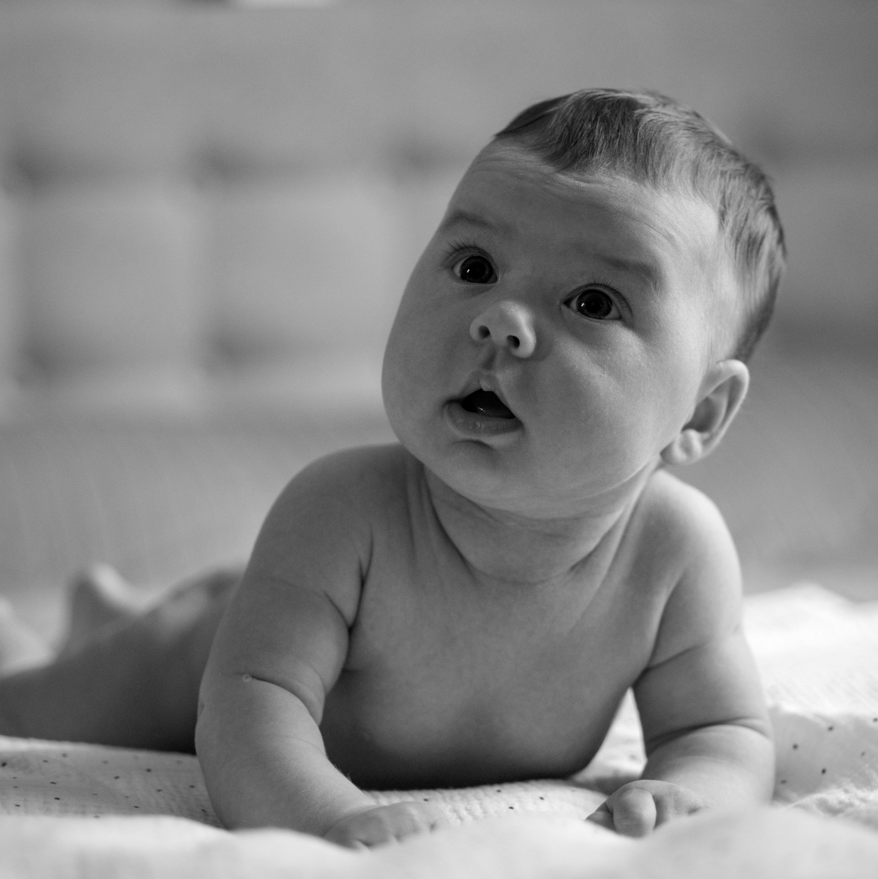 Baby book. Фотограф в Арсеньев, Уссурийск, Владивостоке