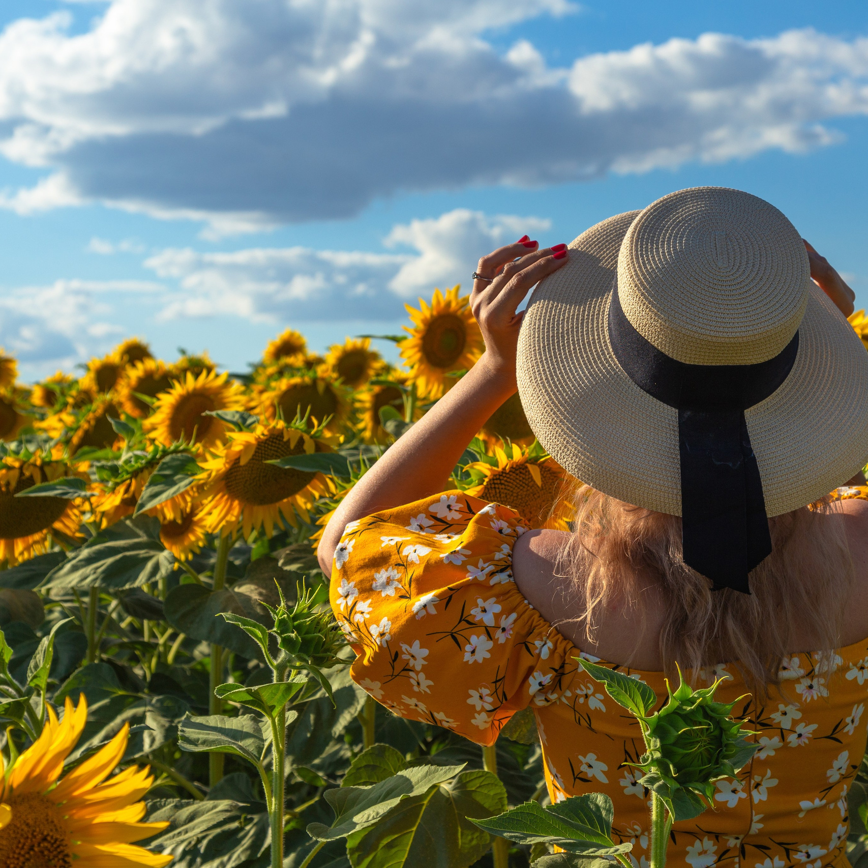 Прайс. Свадебный фотограф в Липецке, фотограф на свадьбу Липецк
