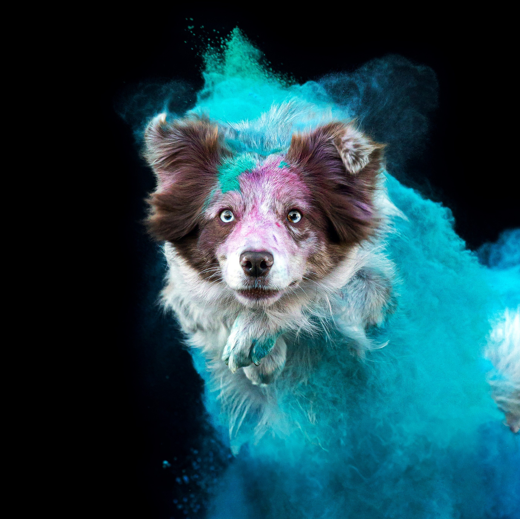 Индивидуальные уроки