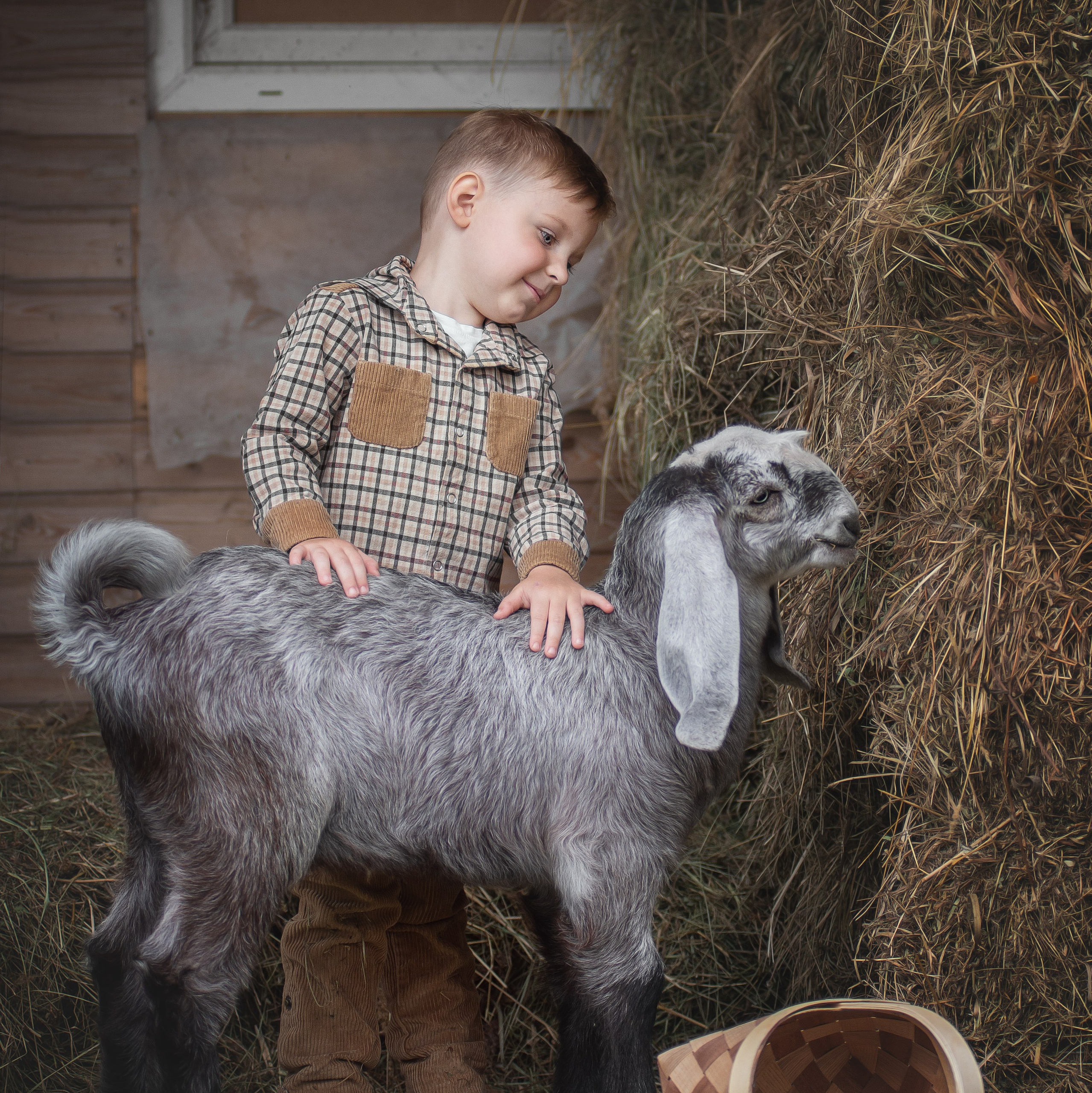 Фотограф — анималист, семейный фотограф — Татьяна Рыбцева