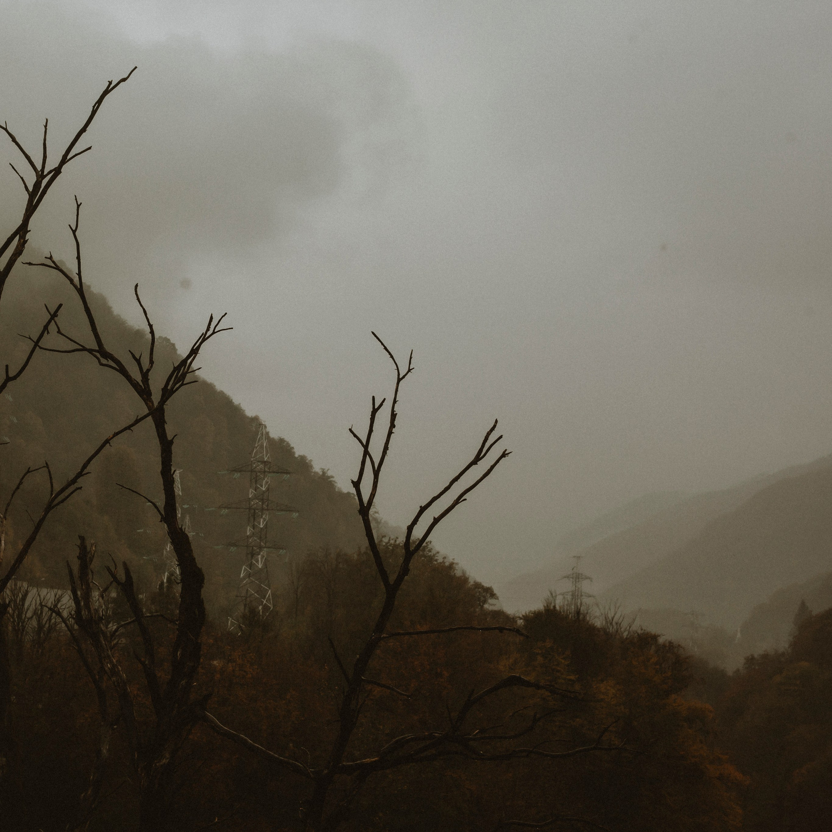 SCHOOL ALBUM. Фотограф и видеограф в Санкт-Петербурге Прилепин Слава