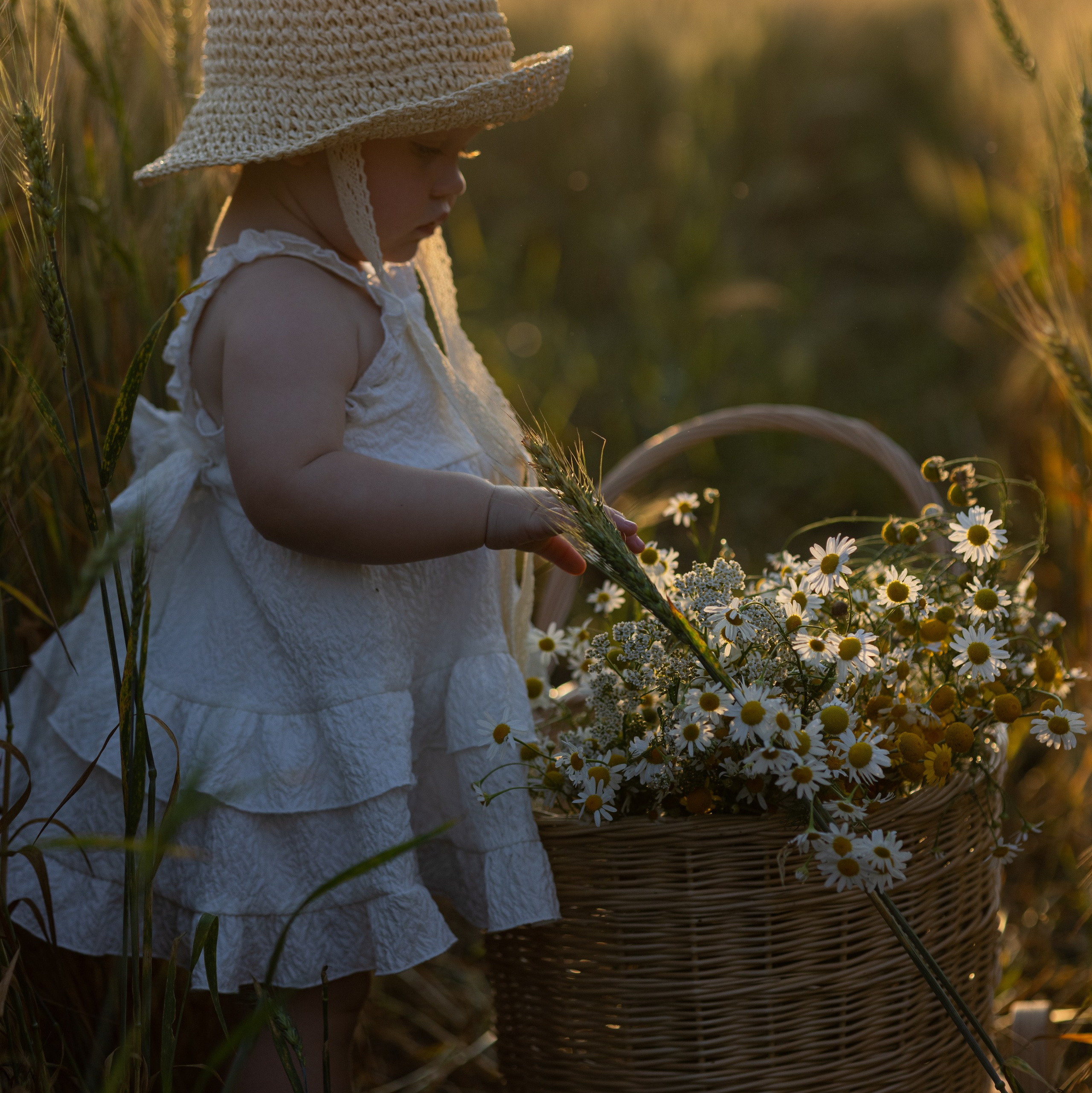 Услуги и цены. Школьный и семейный фотограф в городе Тамбов и Моршанск Елена Федорова