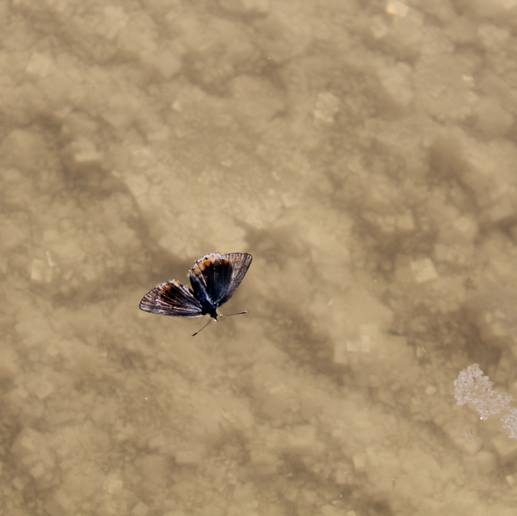 Портфолио|работы с партнерами. Хорошая экспедиция