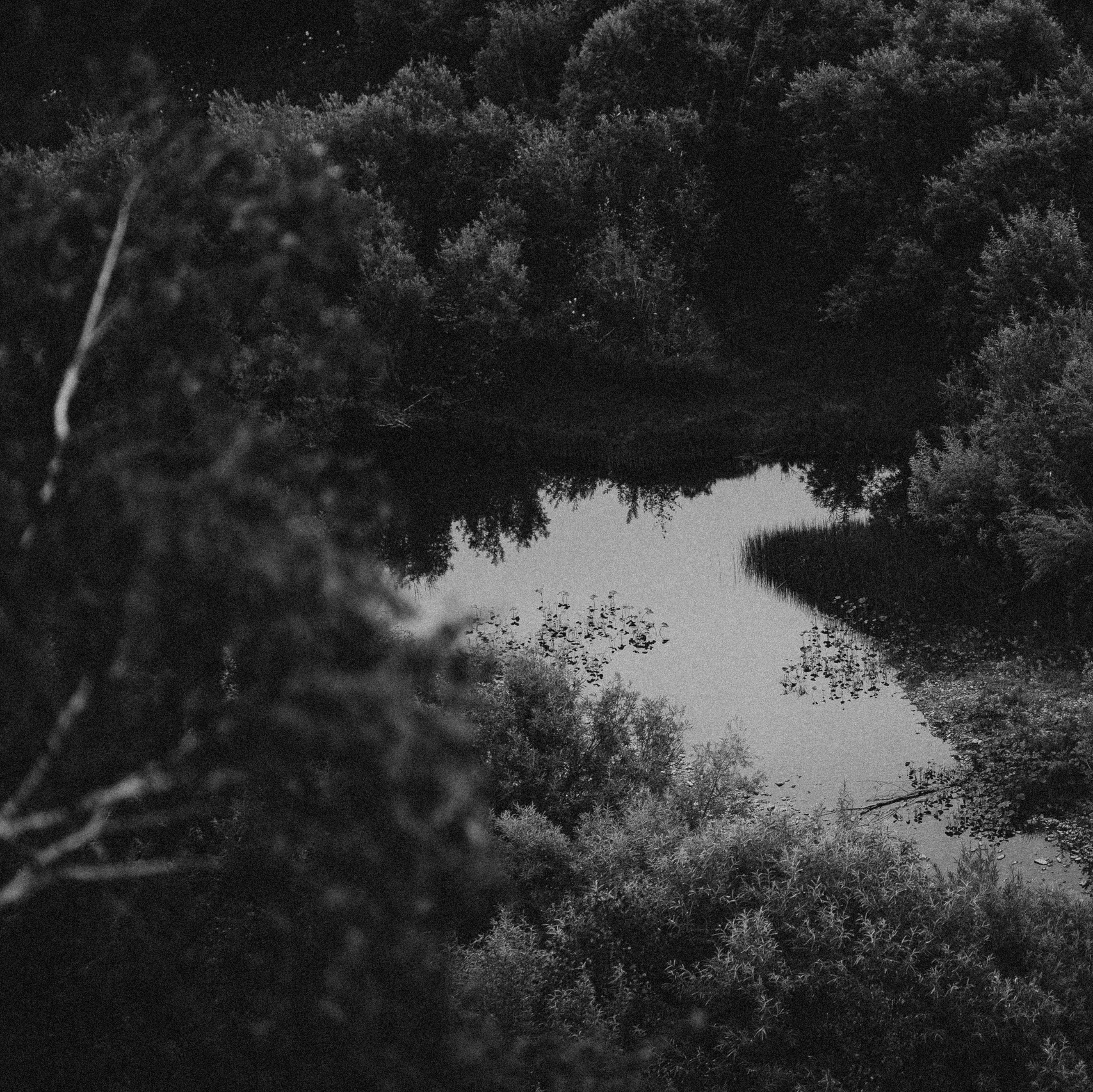 Обо мне. Фотограф Москва Селюкова Юлия