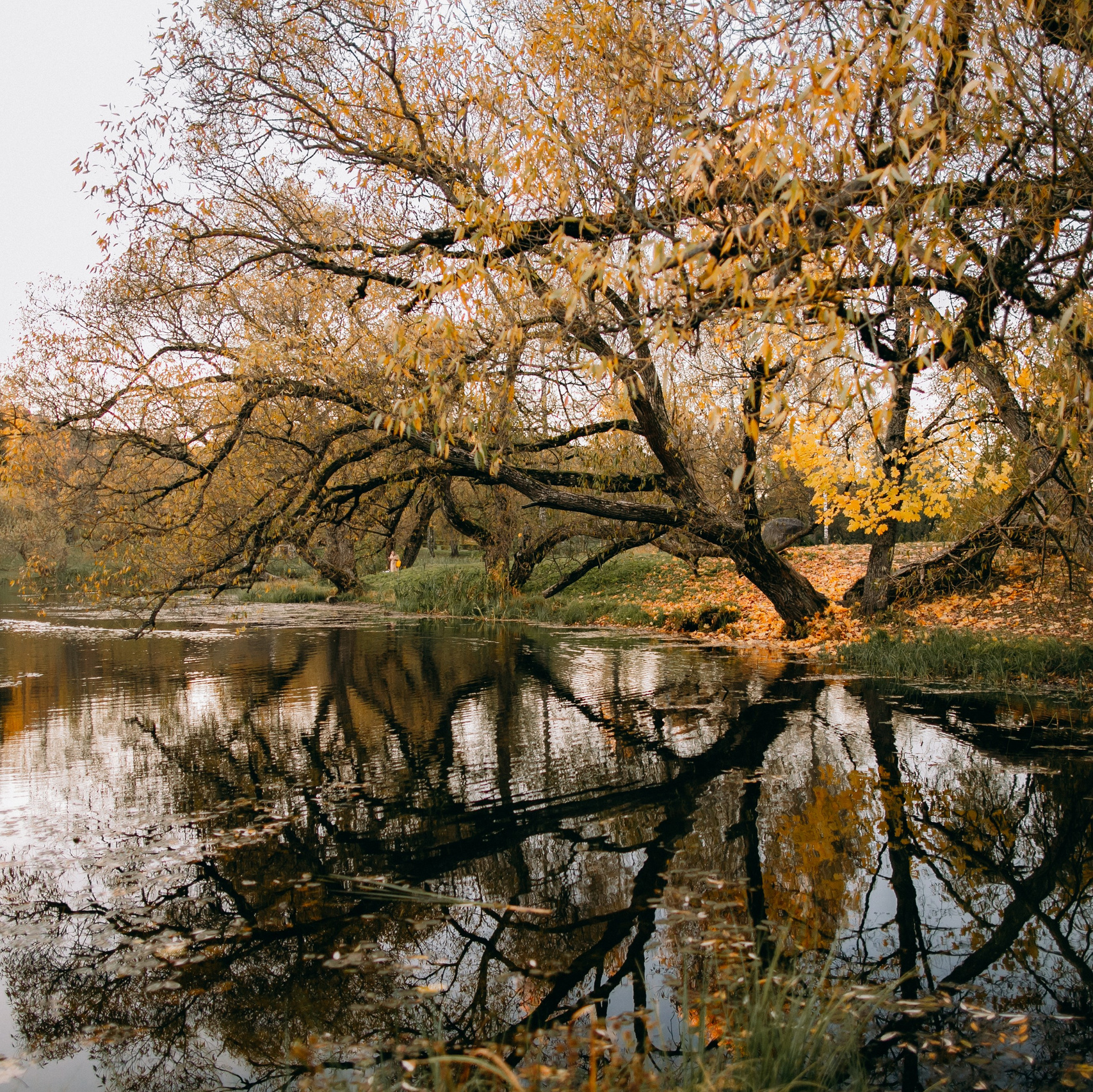 Красивые места для съемок возле Минска. Портретный фотограф в Минске Анна Волейко