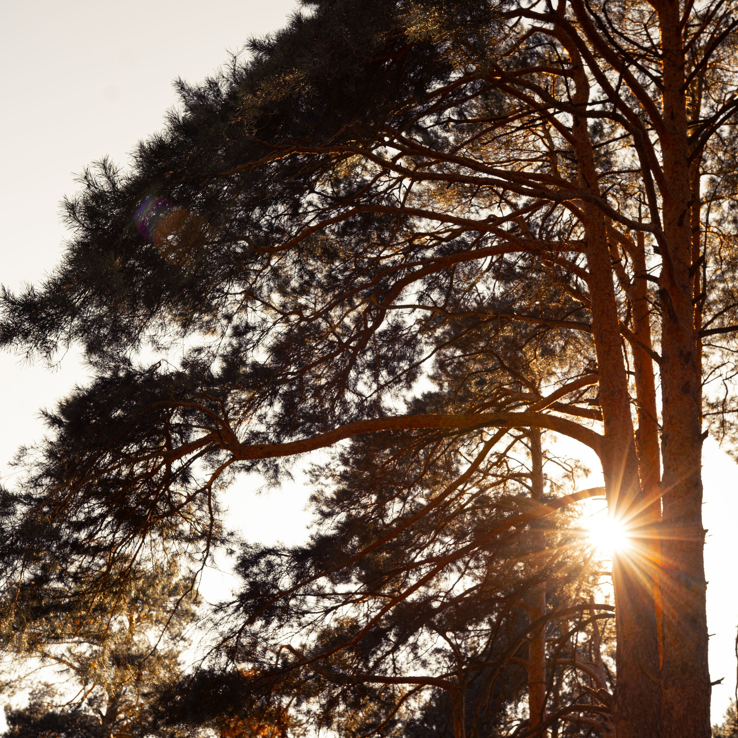 Услуги. Семейный фотограф в Рязани и Москве Victoria_Kros