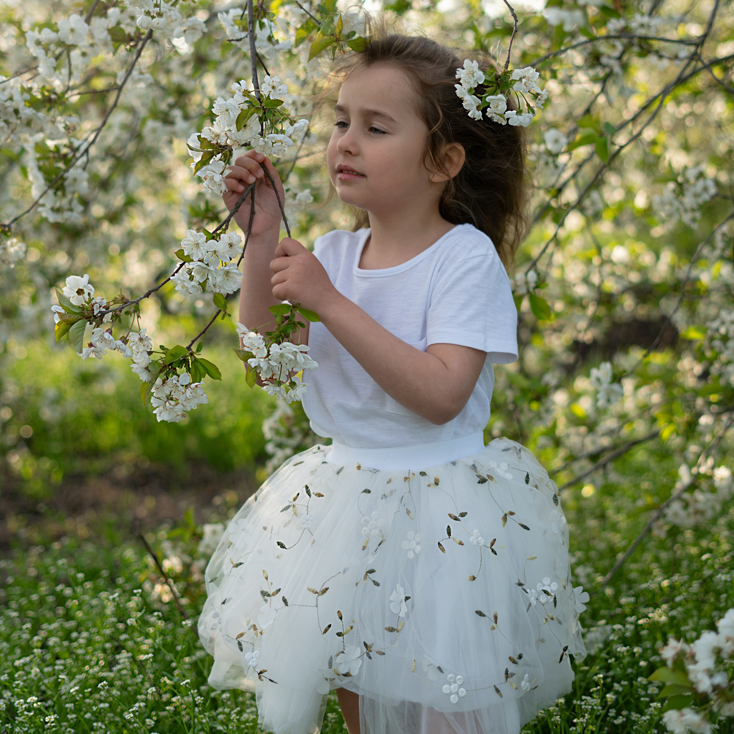 Услуги и цены. Детский и семейный фотограф Ксыкина Ольга, Краснодар