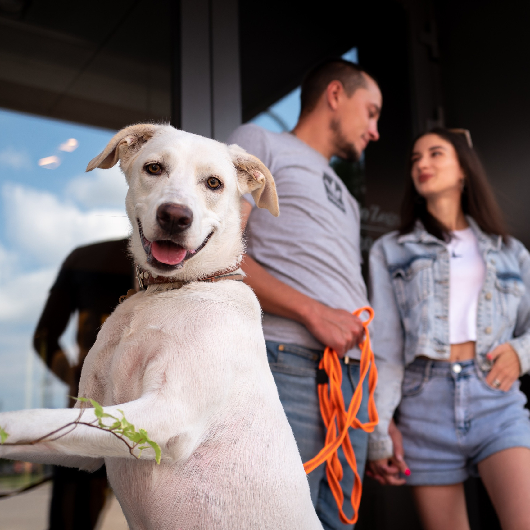 Услуги. Фотограф в Москве Валентина Чемерилова