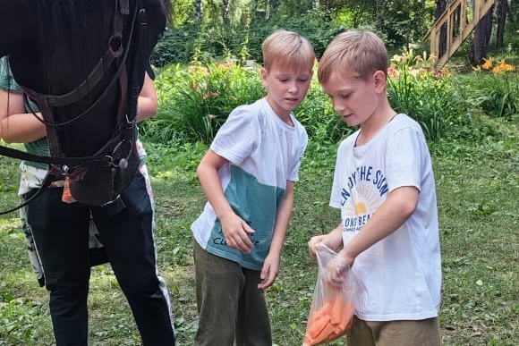 Программы отдыха и другое. Конные прогулки в клубе «Анкор» — Омск