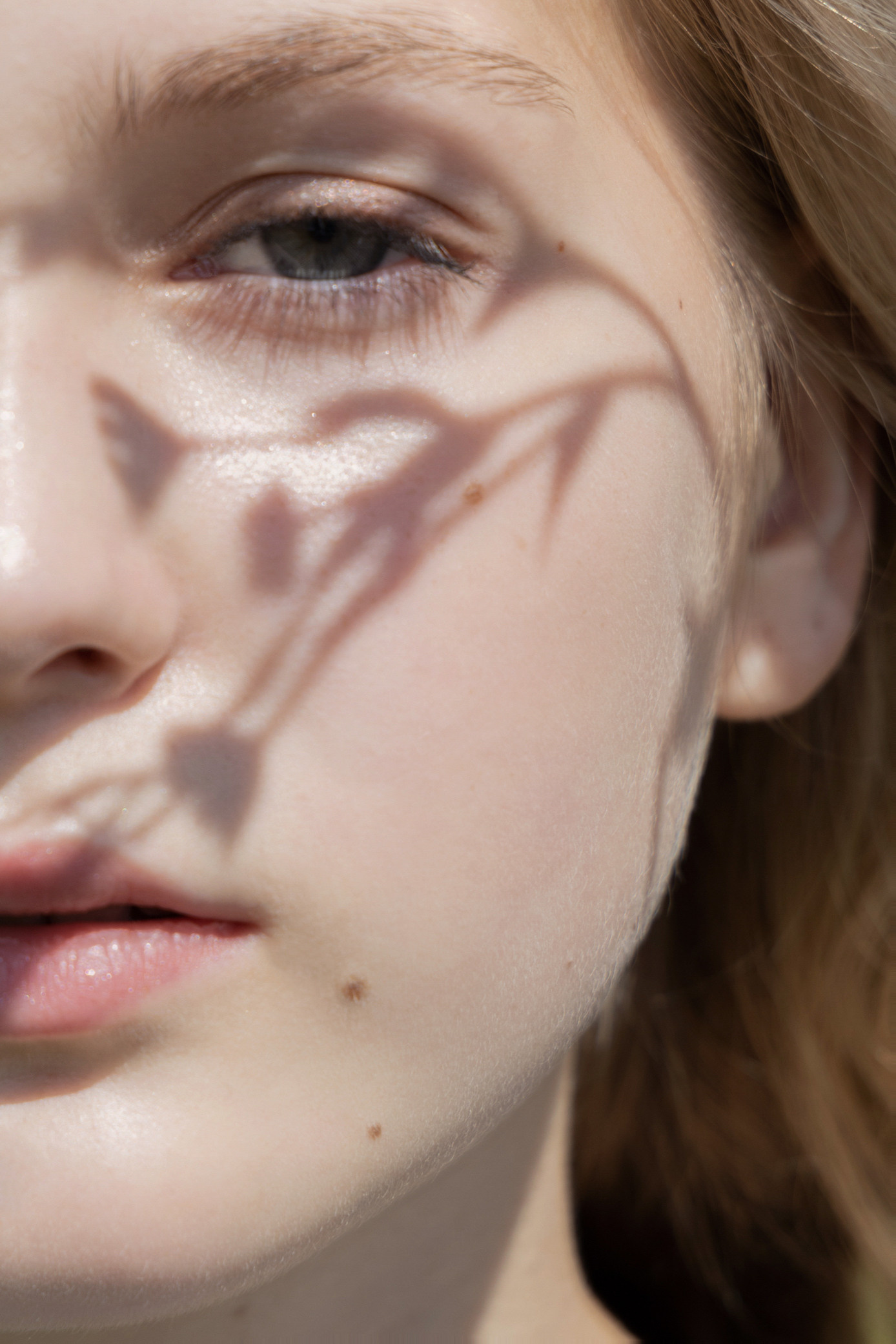 Услуги. Коммерческий фотограф брендов, индивидуальные съемки, Калуга/Москва