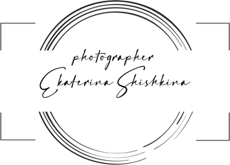 shishkinakaterina.wfolio.pro